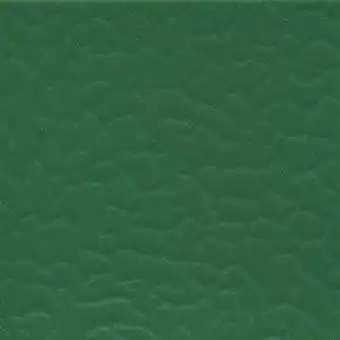 Sàn Nhựa Thể Thao 401-5