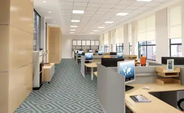 Thảm văn phòng hiện nay có bao nhiêu kích cỡ, giá cả như thế nào?